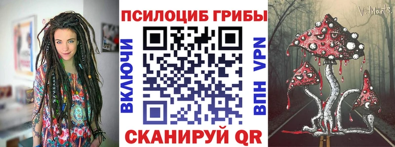 даркнет сайт  Ростов-на-Дону  Галлюциногенные грибы прущие грибы 